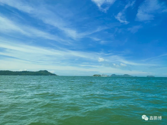 出?；顒?dòng)